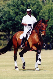 Michael Etherly - Bronze, Silver and Gold USDF Medalist