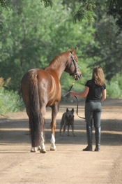 Allison Brunelli and Contigo