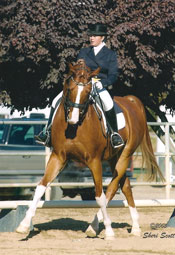 Danielle Casalett and Knock On Wood