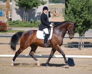 Carolynne Smith & Pixel