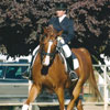 Danielle Casalett & Knock on Wood