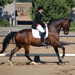 Carolynne Smith & Pixel