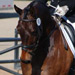 Carolynne Smith & Pixel