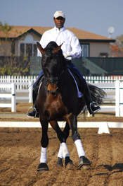 Michael and P.R.E. Stallion, Noble GF