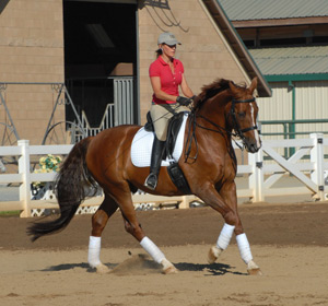 Riding in a lesson