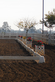 Harris Farms