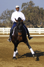 Michael and P.R.E. Stallion, Noble GF